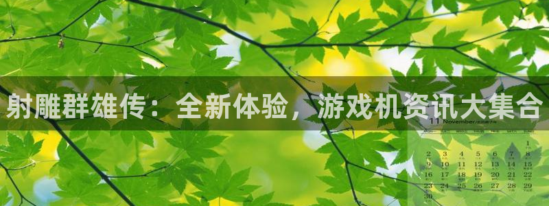 鼎点娱乐平台登录入口：射雕群雄传：全新体验，游戏机资讯大集合