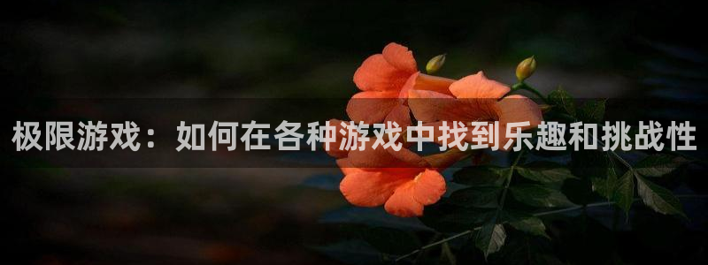 鼎点娱乐官网登录：极限游戏：如何在各种游戏中找到乐趣和挑战性