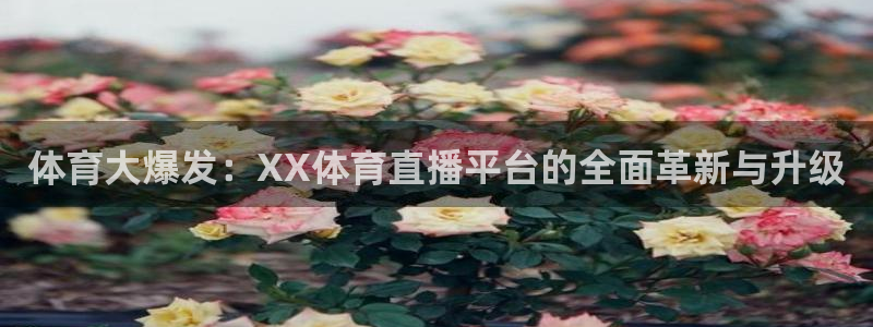 劲爆体育比赛直播：体育大爆发：XX体育直播平台的全面革新与升级