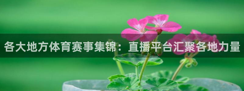 劲爆体育直播免费观看直播间：各大地方体育赛事集锦：直播平台汇聚各地力量
