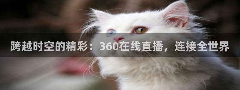 劲爆体育直播免费观看：跨越时空的精彩：360在线直播，连接全世界